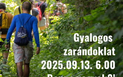 Egyházközségi gyalogos zarándoklat